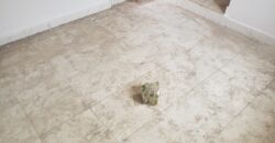 Nice POP Hostel At Westend ✅✅