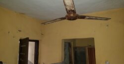 Cool Hostel At Safari ✅