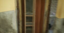 Cool Hostel At Safari ✅