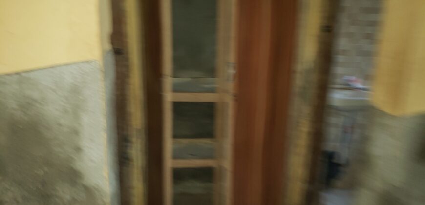 Cool Hostel At Safari ✅