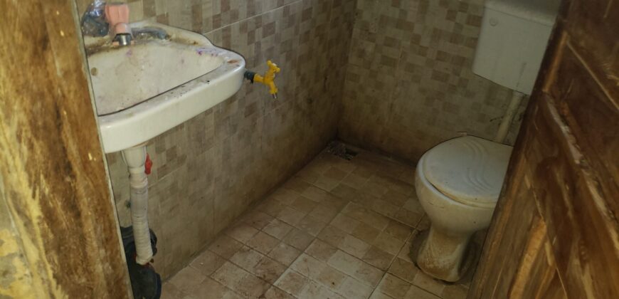 Cool Hostel At Safari ✅