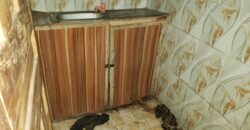 Cool Hostel At Safari ✅