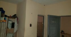 Very Nice Hostel Around Amina Villa✅