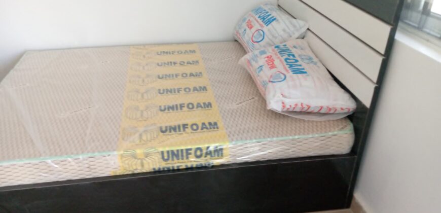 Super V.V.I.P POP Hostel At Westend