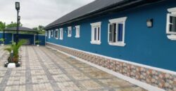 Super V.V.I.P POP Hostel At Westend