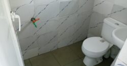 Nice POP hostel around Agt2