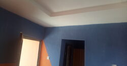 POP Hostel at Safari Back