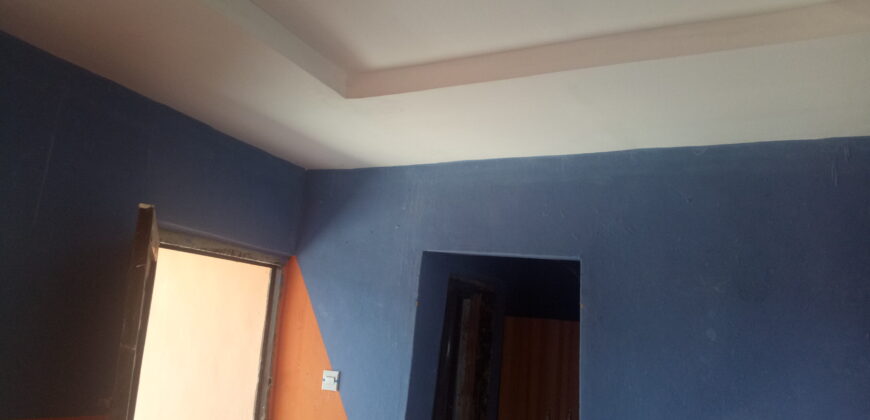 POP Hostel at Safari Back