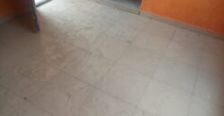 POP Hostel at Safari Back