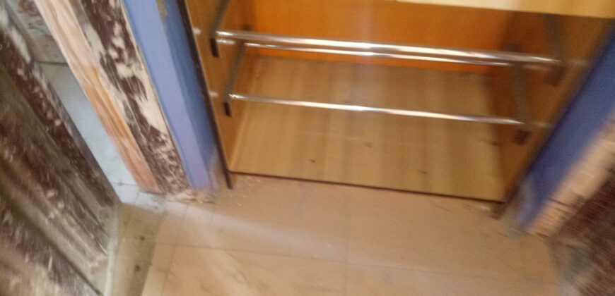 POP Hostel at Safari Back