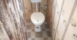 POP Hostel at Safari Back