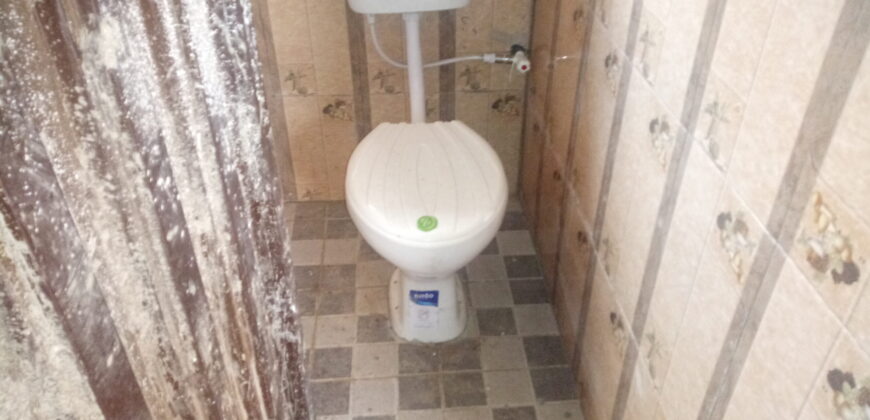 POP Hostel at Safari Back