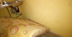 Very Good Hostel Located Around Amina Castle✅