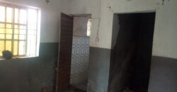 Hostel Update Along Amina Castle 🏰