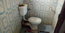 Hostel Update Along Amina Castle 🏰