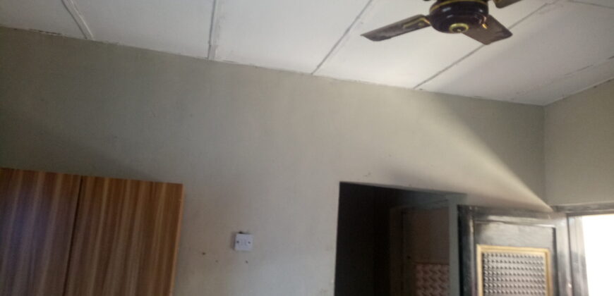 Hostel Update at Safari ✅