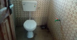 Hostel Update at Safari ✅