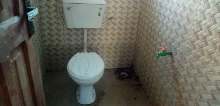 Hostel Update at Safari ✅