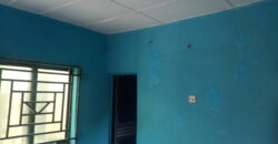 Very Nice Hostel At Safari✅