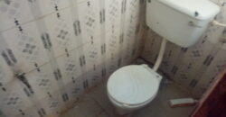 Hostel Update Available At Safari✅