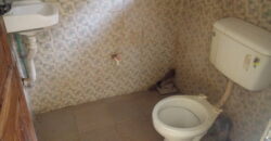 Good looking hostel At Safari