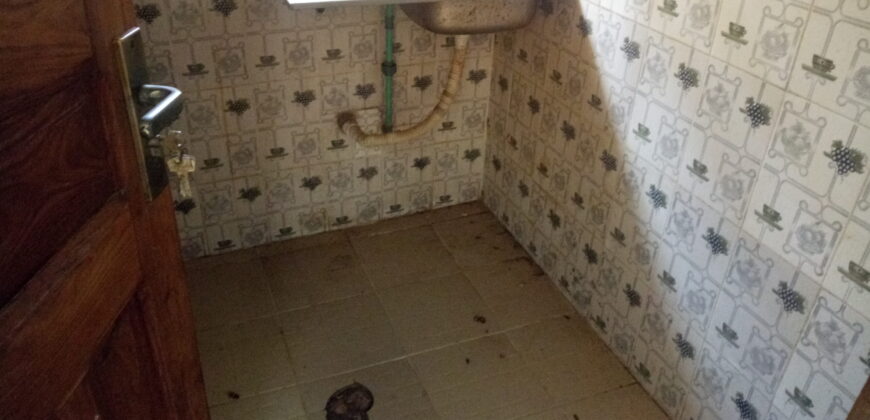 Good looking hostel At Safari