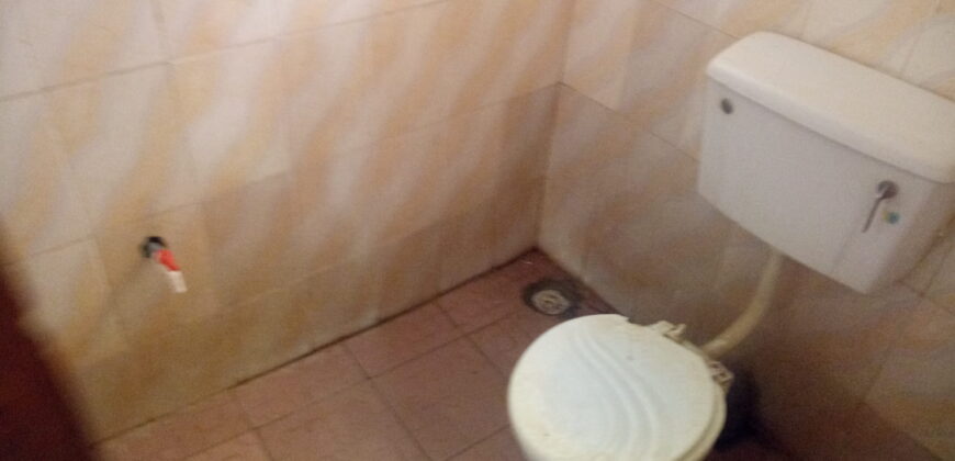 Cool Hostel At Safari Side✅