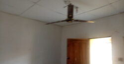 Very Big Hostel At Safari✅