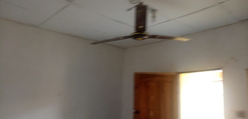 Very Big Hostel At Safari✅