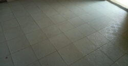 Very Big Hostel At Safari✅