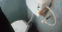 Very Big Hostel At Safari✅