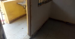 Very Big Hostel At Safari✅