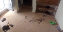 Hostel Update At School Gate ✅