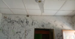 Hostel Available At Marple✅