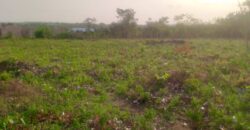 6 plots of Land Available along Yeregi Road Malete