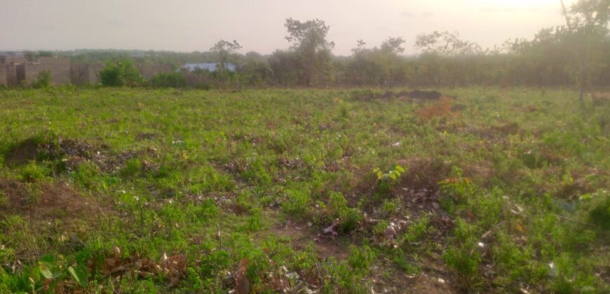 6 plots of Land Available along Yeregi Road Malete
