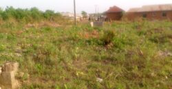 6 plots of Land Available along Yeregi Road Malete