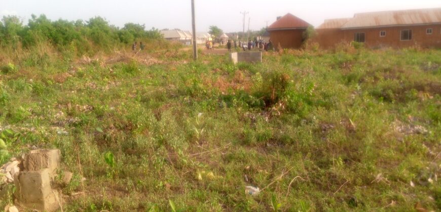 6 plots of Land Available along Yeregi Road Malete
