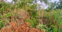 2plots of Land available in Kwasu, Malete