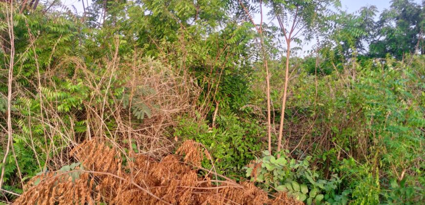 2plots of Land available in Kwasu, Malete
