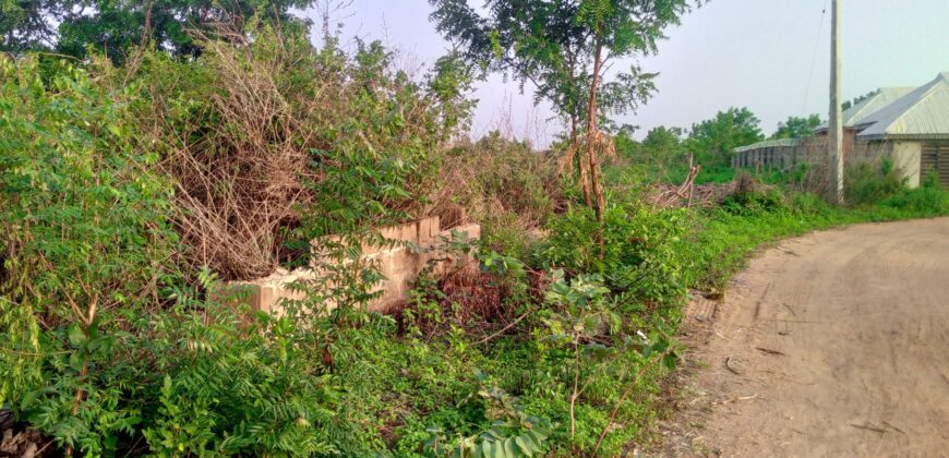 2plots of Land available in Kwasu, Malete