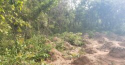 2 Plots of Land Available for Sale after Amina villa (Kwasu)