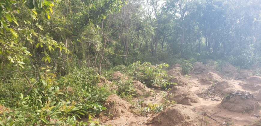 2 Plots of Land Available for Sale after Amina villa (Kwasu)