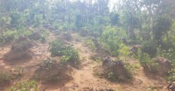 2 Plots of Land Available for Sale after Amina villa (Kwasu)
