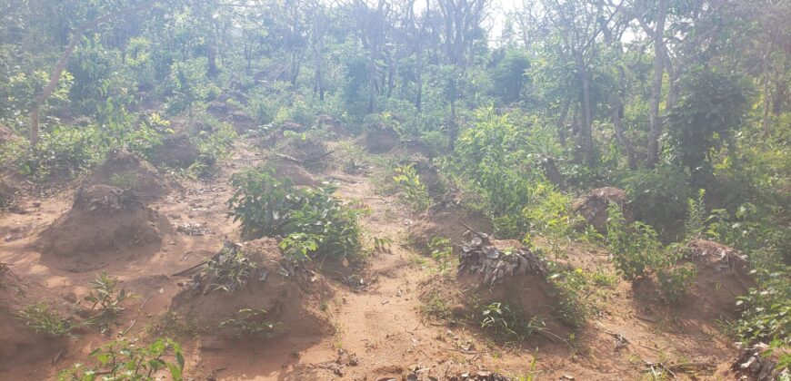 2 Plots of Land Available for Sale after Amina villa (Kwasu)