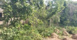 2 Plots of Land Available for Sale after Amina villa (Kwasu)