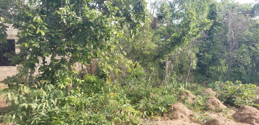2 Plots of Land Available for Sale after Amina villa (Kwasu)
