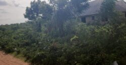 2 Plots of Land Available for Sale after Amina villa (Kwasu)