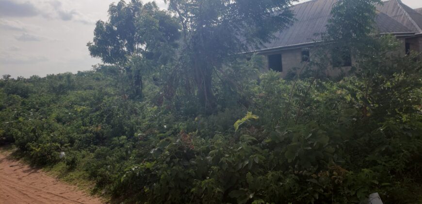 2 Plots of Land Available for Sale after Amina villa (Kwasu)