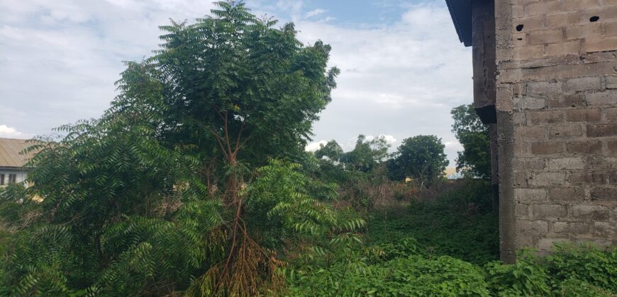 A storey Building of 20 Units of room selfcon for sale and Extra plot of land